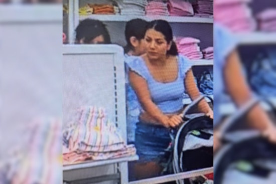 Gilroy Police Seek Community Help to Identify Suspected Serial Thief at Target Store