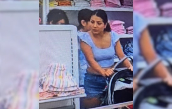 Gilroy Police Seek Community Help to Identify Suspected Serial Thief at Target Store