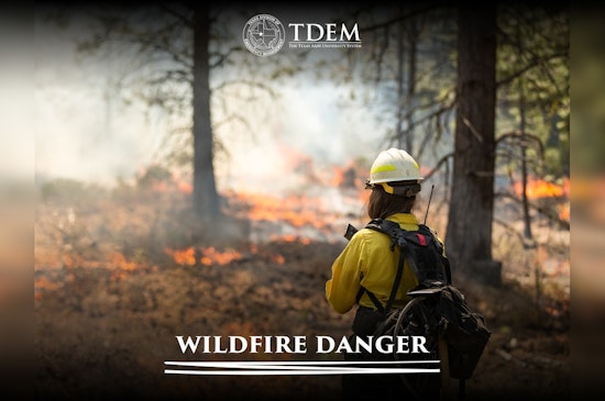 Governor Abbott Declares Disaster in 191 Texas Counties Amid Rising Wildfire Threats