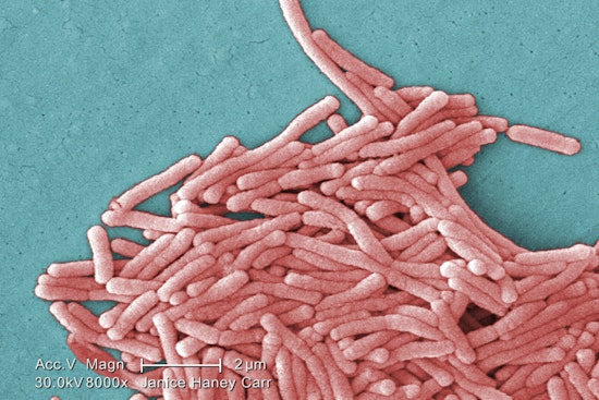 Harlem Hit by Legionnaires' Disease Amid Fears of Medicaid Cuts Compromising Healthcare Access