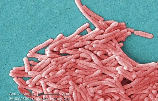 Harlem Hit by Legionnaires' Disease Amid Fears of Medicaid Cuts Compromising Healthcare Access
