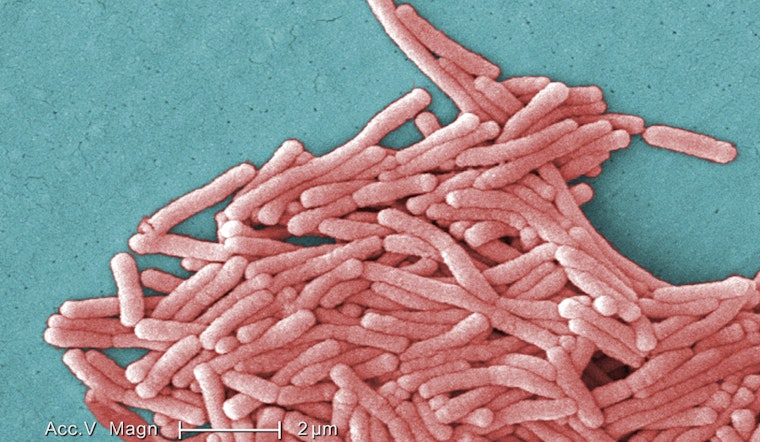 Harlem Hit by Legionnaires' Disease Amid Fears of Medicaid Cuts Compromising Healthcare Access