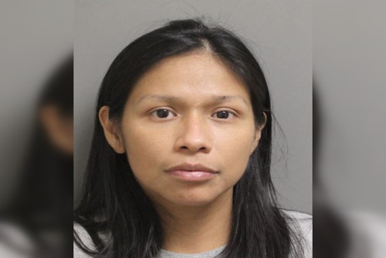 Harris and Fort Bend Counties Seek Public Help to Locate Suspected Brisket Bandit
