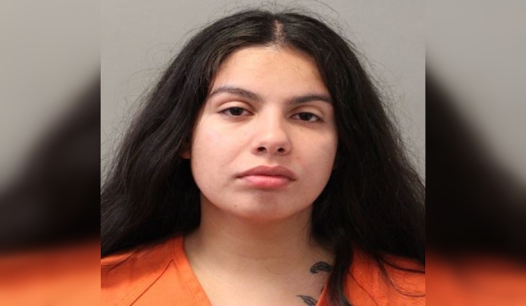 Harris County Authorities Arrest Woman and Charge Her with DWI While on Bond for Harassment
