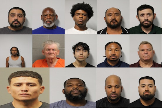 Harris County Constable's Office Nets 14 in Prostitution Sting Targeting Human Trafficking