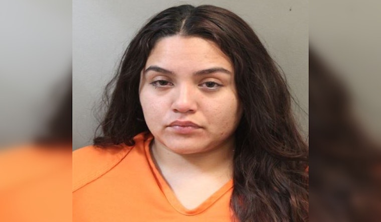 Harris County Deputies Arrest Suspected Drunk Driver Already Out on Bond for Separate Charge