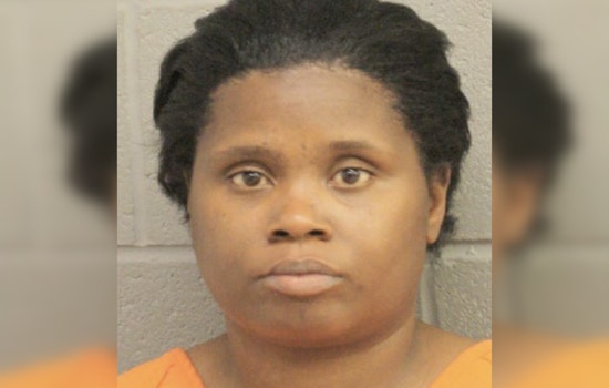 Harris County Shoplifting Incident: Suspect Arrested at Target on North Freeway for Misdemeanor Theft