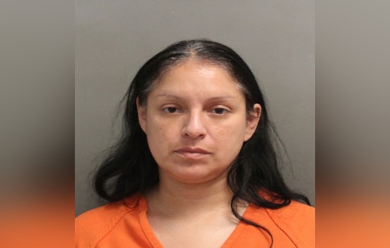 Harris County Suspect Arrested and Charged Following Hit-and-Run Incident on Emerald Mist Parkway