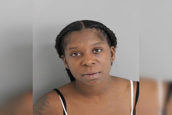 Harris County Woman Charged with Aggravated Assault in Shinwood Drive Knife Incident
