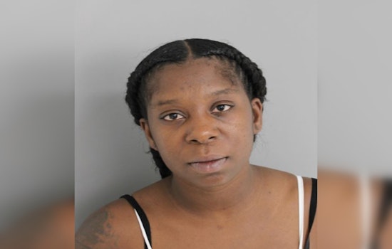 Harris County Woman Charged with Aggravated Assault in Shinwood Drive Knife Incident
