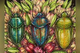 Hawaiʻi Calls for Artists as State Ignites Creative Submissions for Upcoming Exhibitions