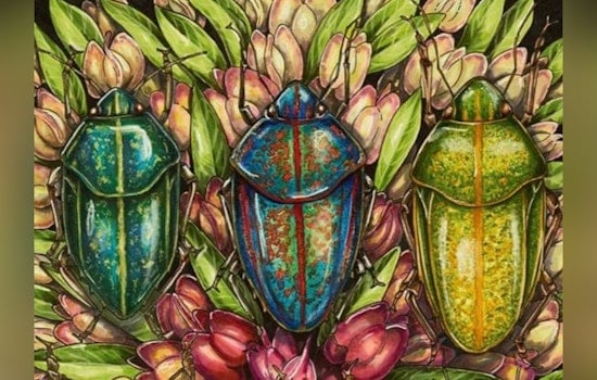 Hawaiʻi Calls for Artists as State Ignites Creative Submissions for Upcoming Exhibitions