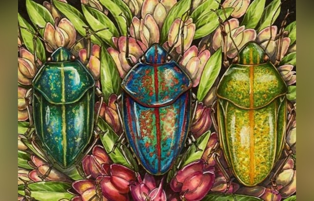 Hawaiʻi Calls for Artists as State Ignites Creative Submissions for Upcoming Exhibitions