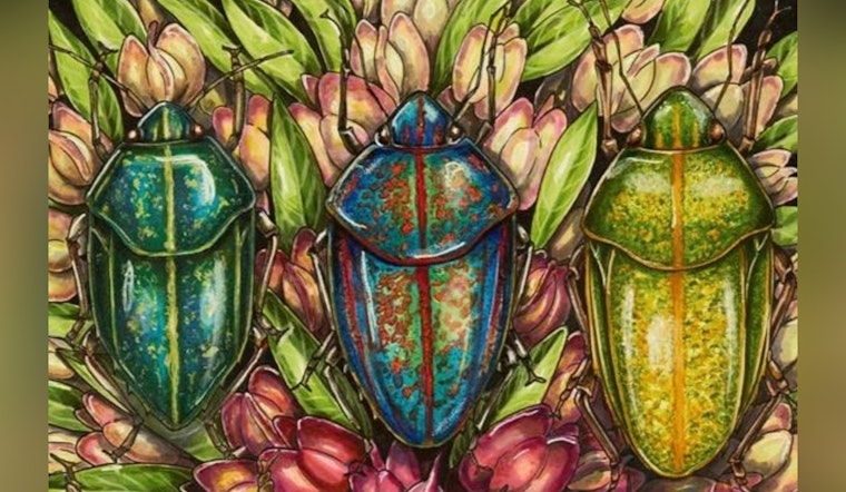 Hawaiʻi Calls for Artists as State Ignites Creative Submissions for Upcoming Exhibitions