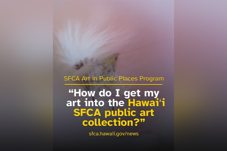 Hawaiʻi's Local Artists Offered Gateway to Featuring in Public Spaces Through SFCA Programs