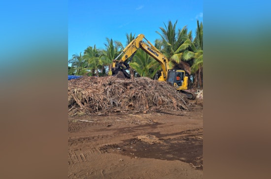 Hawai‘i Agencies Collaborate in Major Operation Against Coconut Rhinoceros Beetle Invasion at Keāhole Agricultural Park