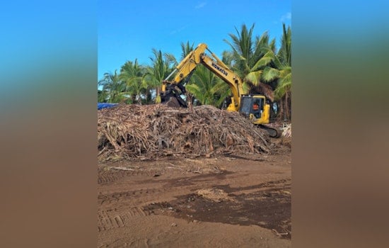 Hawai‘i Agencies Collaborate in Major Operation Against Coconut Rhinoceros Beetle Invasion at Keāhole Agricultural Park