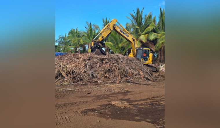 Hawai‘i Agencies Collaborate in Major Operation Against Coconut Rhinoceros Beetle Invasion at Keāhole Agricultural Park