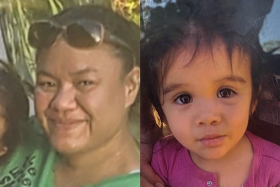 Hawaii Police Seek Public Help to Find Missing Mother and Daughter in Pahoa as Medical Concerns Increase Urgency