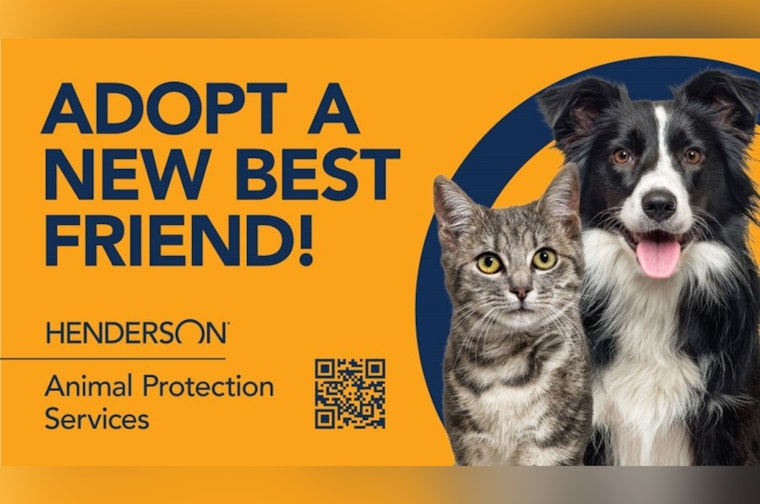 Henderson Offers Pet Adoption Fee Waiver to Locals Until September 1