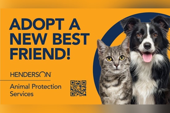 Henderson Offers Pet Adoption Fee Waiver to Locals Until September 1
