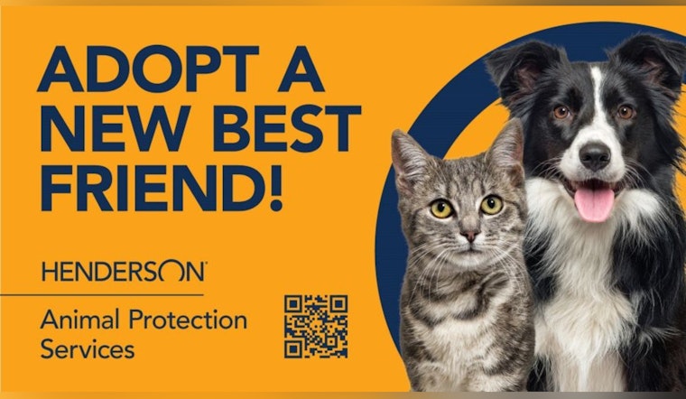 Henderson Offers Pet Adoption Fee Waiver to Locals Until September 1