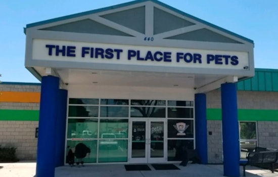 Hillsborough County Celebrates Milestone as Pet Resource Center Saves 150000 Dogs and Cats