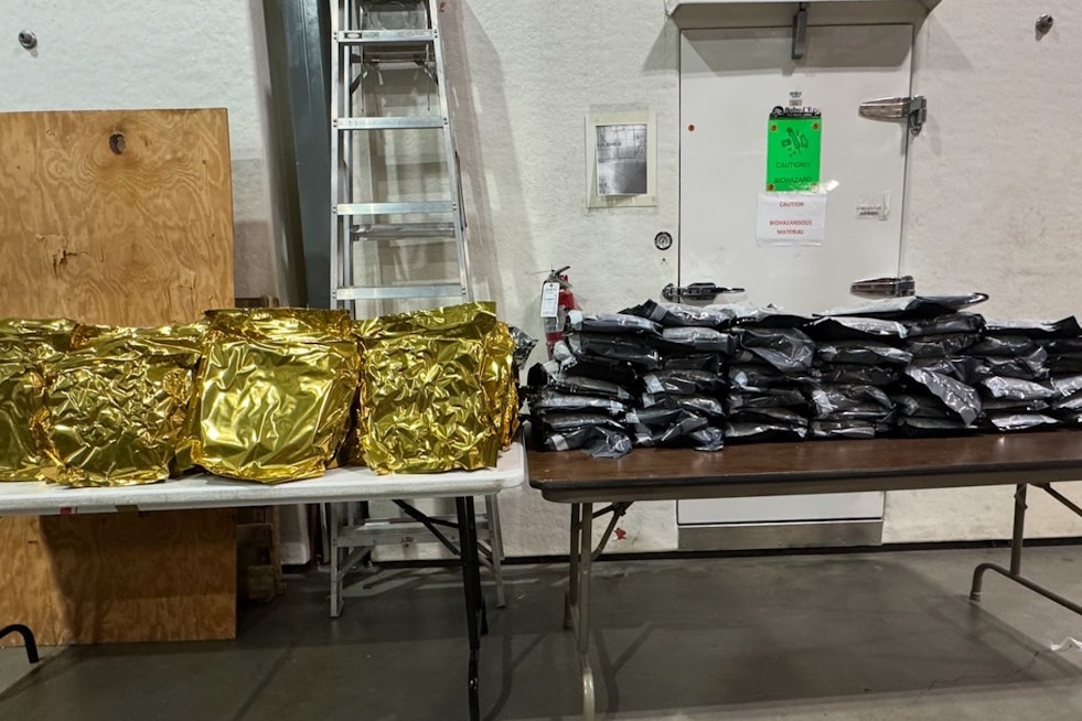 Hillsborough County Sheriff's Office Seizes 100 Pounds of Marijuana, Suspect Charged with Trafficking