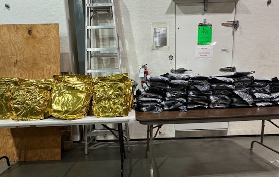 Hillsborough County Sheriff's Office Seizes 100 Pounds of Marijuana, Suspect Charged with Trafficking