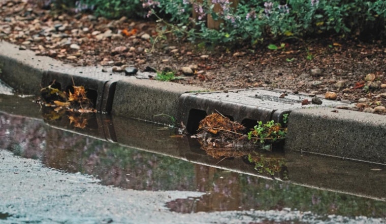 Hillsborough County Urges Residents to Take Preventive Measures Against Flooding Risks