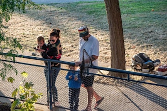 Historic Return of Chinook Salmon Expected in Downtown Bellingham's Whatcom Creek