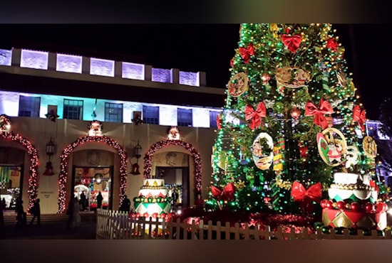 Honolulu Non-Profits Invited to Apply for Display Permits at Esteemed Honolulu City Lights Event
