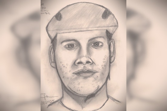Houston Police Release Sketch of Suspect in Series of Attacks on Women at City Parks