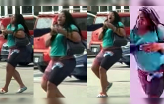 Houston Police Seek Public's Aid to Identify Suspects in Liquor Store Theft and Assault on W. 18th Street