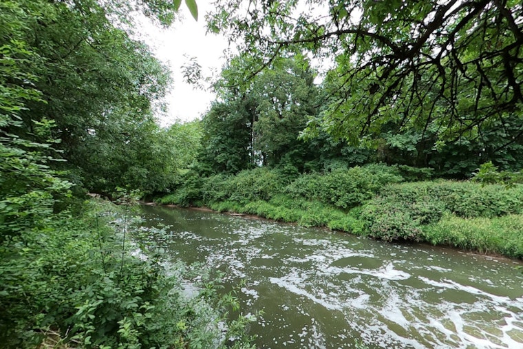 Human Remains Discovered in Tualatin River Spark Washington County Sheriff's Intense Investigation