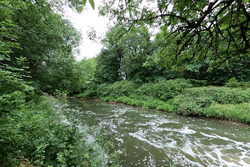 Human Remains Discovered in Tualatin River Spark Washington County Sheriff's Intense Investigation