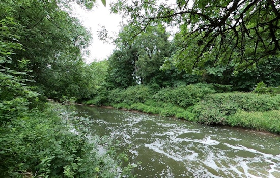 Human Remains Discovered in Tualatin River Spark Washington County Sheriff's Intense Investigation