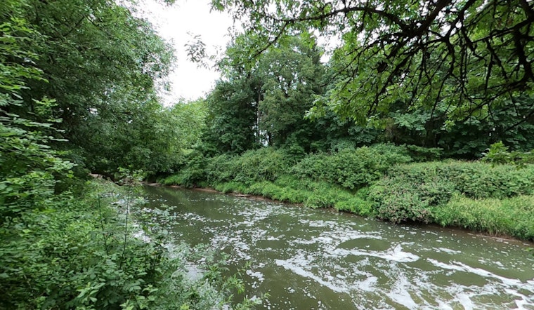 Human Remains Discovered in Tualatin River Spark Washington County Sheriff's Intense Investigation