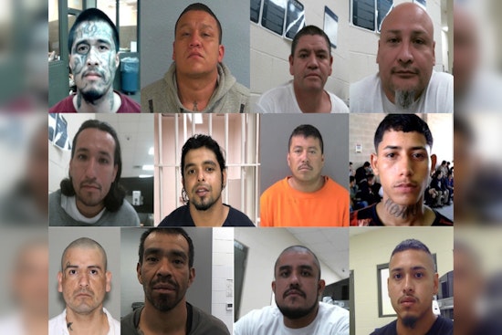 ICE in Houston Nabs Over 350 Gang Members with Thousands of Prior Entries and Convictions