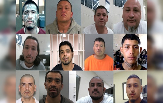 ICE in Houston Nabs Over 350 Gang Members with Thousands of Prior Entries and Convictions