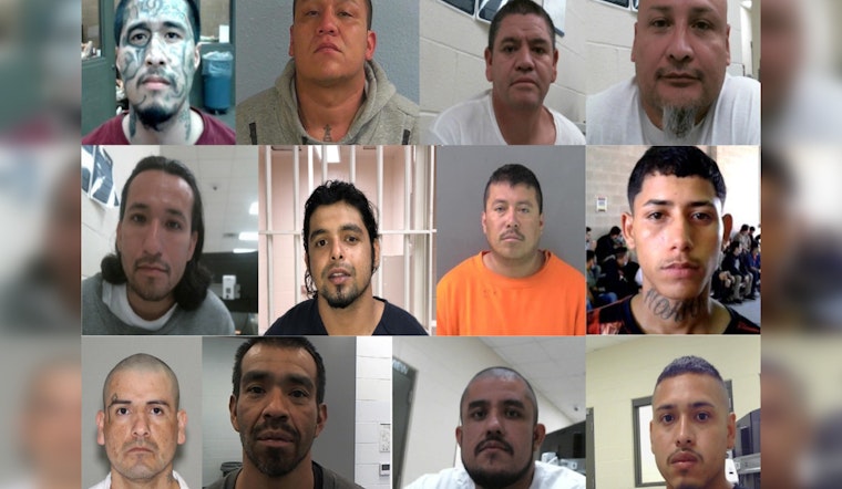ICE in Houston Nabs Over 350 Gang Members with Thousands of Prior Entries and Convictions