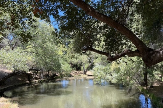 VIDEO: Iipay Nation of Santa Ysabel Reclaims 1,107 Acres of Ancestral Land in San Felipe Valley, Advances Biodiversity and Climate Goals