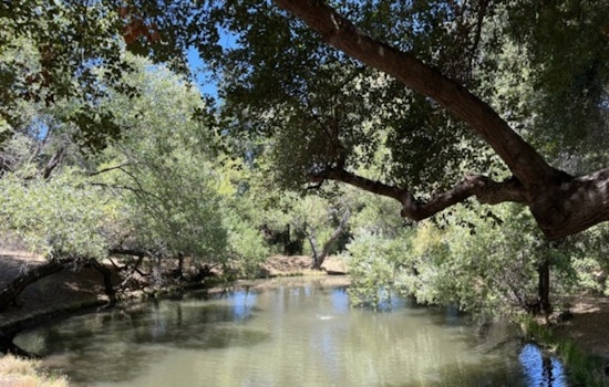 VIDEO: Iipay Nation of Santa Ysabel Reclaims 1,107 Acres of Ancestral Land in San Felipe Valley, Advances Biodiversity and Climate Goals