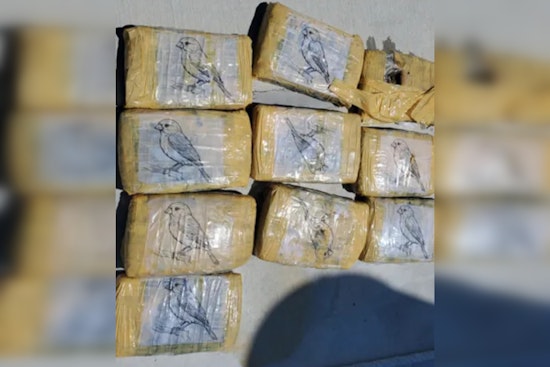 Illicit Drug Discoveries in Key Largo, Marijuana Packages Found among Mangroves and Near Luxury Club