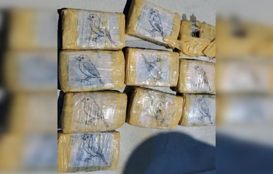 Illicit Drug Discoveries in Key Largo, Marijuana Packages Found among Mangroves and Near Luxury Club
