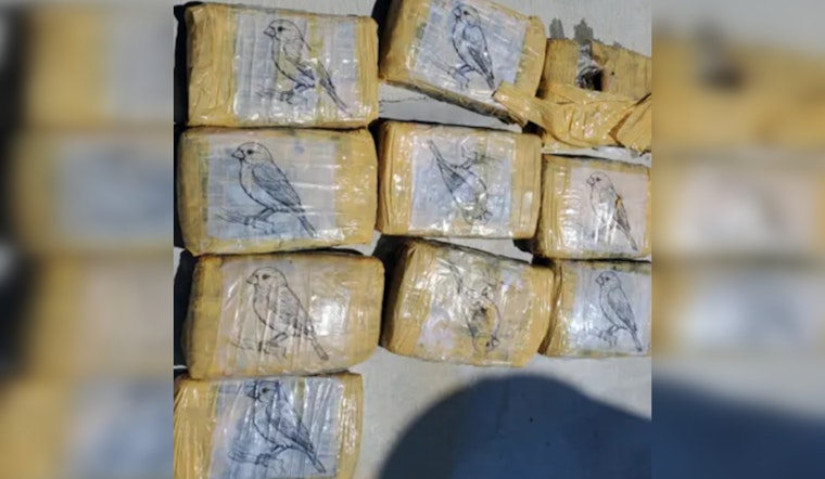 Illicit Drug Discoveries in Key Largo, Marijuana Packages Found among Mangroves and Near Luxury Club