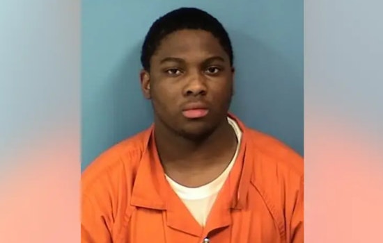 Illinois Appellate Court Upholds 30-Year Sentence for Downers Grove Carjacker Martavious Robinson