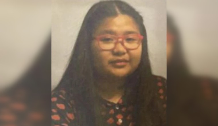 Indian River County Sheriff Seeks Public's Aid in Search for Missing 18-Year-Old Carmela Allieser Since July