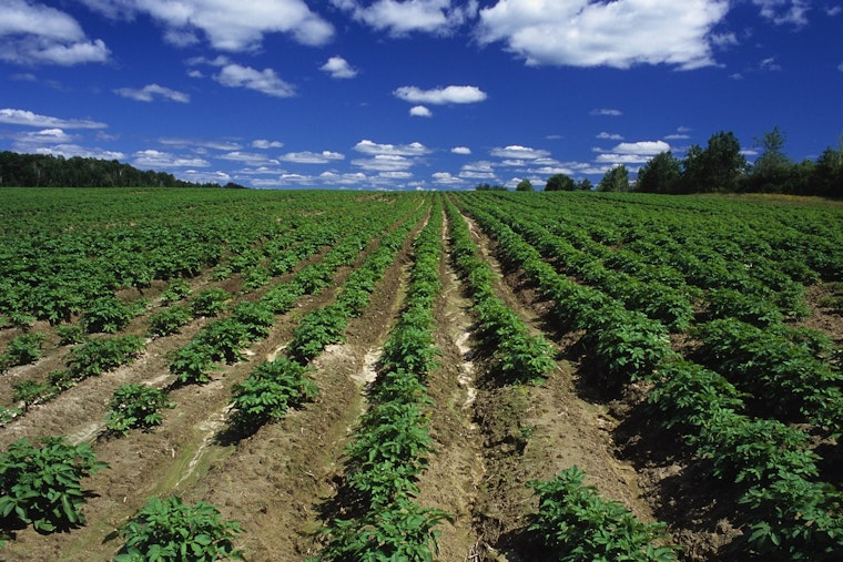Indiana Enacts Legislation to Prevent Foreign Adversaries from Owning Farmland