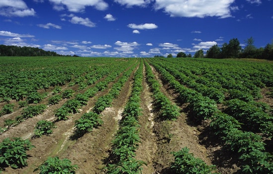 Indiana Enacts Legislation to Prevent Foreign Adversaries from Owning Farmland